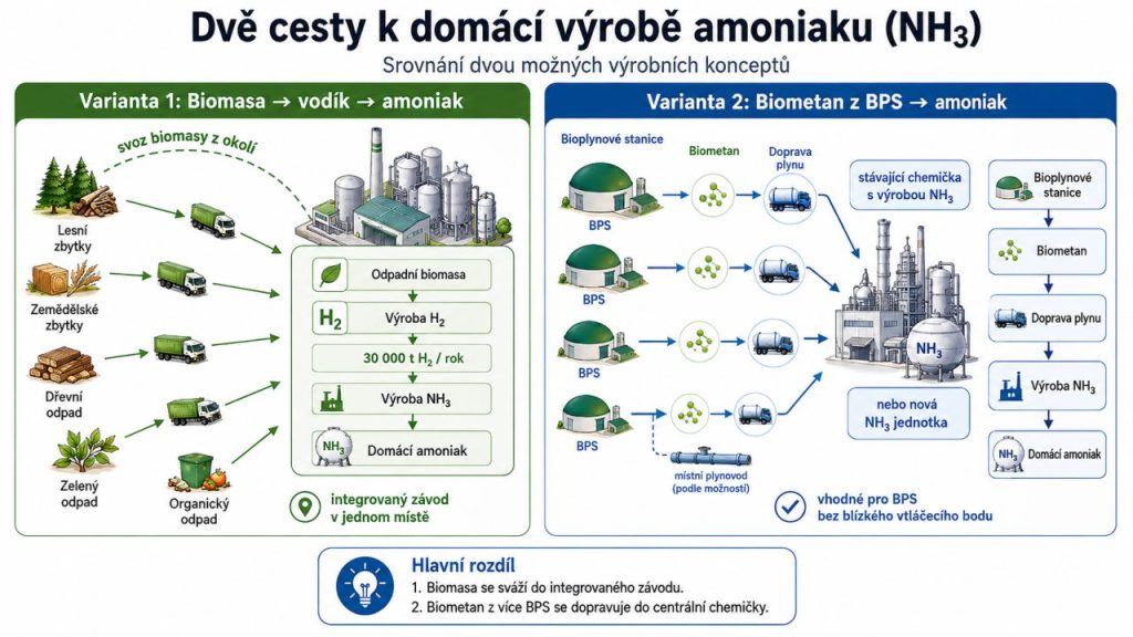 Infografika s názvem "Dvě cesty k domácí výrobě amoniaku (NH₃) - Srovnání dvou možných výrobních konceptů". Varianta 1 (Biomasa → vodík → amoniak) ukazuje svoz lesních a zemědělských zbytků, dřevního, zeleného a organického odpadu nákladními vozy do integrovaného závodu. Zde probíhá zpracování odpadní biomasy, výroba 30 000 t vodíku (H₂) za rok a následná výroba domácího amoniaku. Varianta 2 (Biometan z BPS → amoniak) znázorňuje několik bioplynových stanic (BPS), které jsou pro tento účel vhodné z důvodu chybějícího vtláčecího bodu. Odtud je biometan dopravován cisternami nebo místním plynovodem do stávající chemičky s výrobou NH₃, nebo do nové NH₃ jednotky. V dolním panelu je shrnut hlavní rozdíl: 1. Biomasa se sváží do integrovaného závodu. 2. Biometan z více BPS se dopravuje do centrální chemičky.